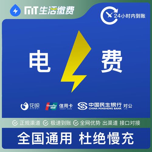 国网电费充值50元 充值户号